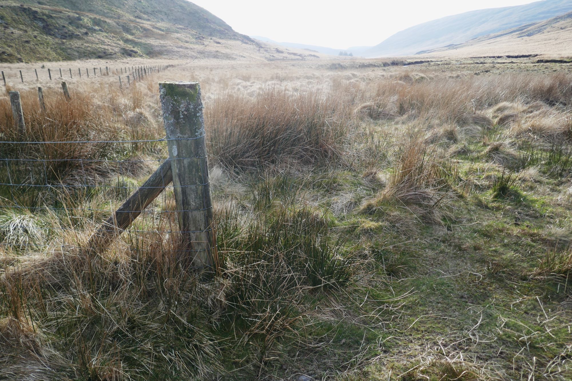 RachelSeabrook.net | Wild Walking | Cwm Gwerin | pic55